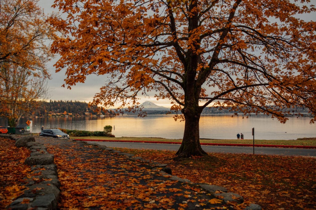 Seward Park in Seattle during autumn